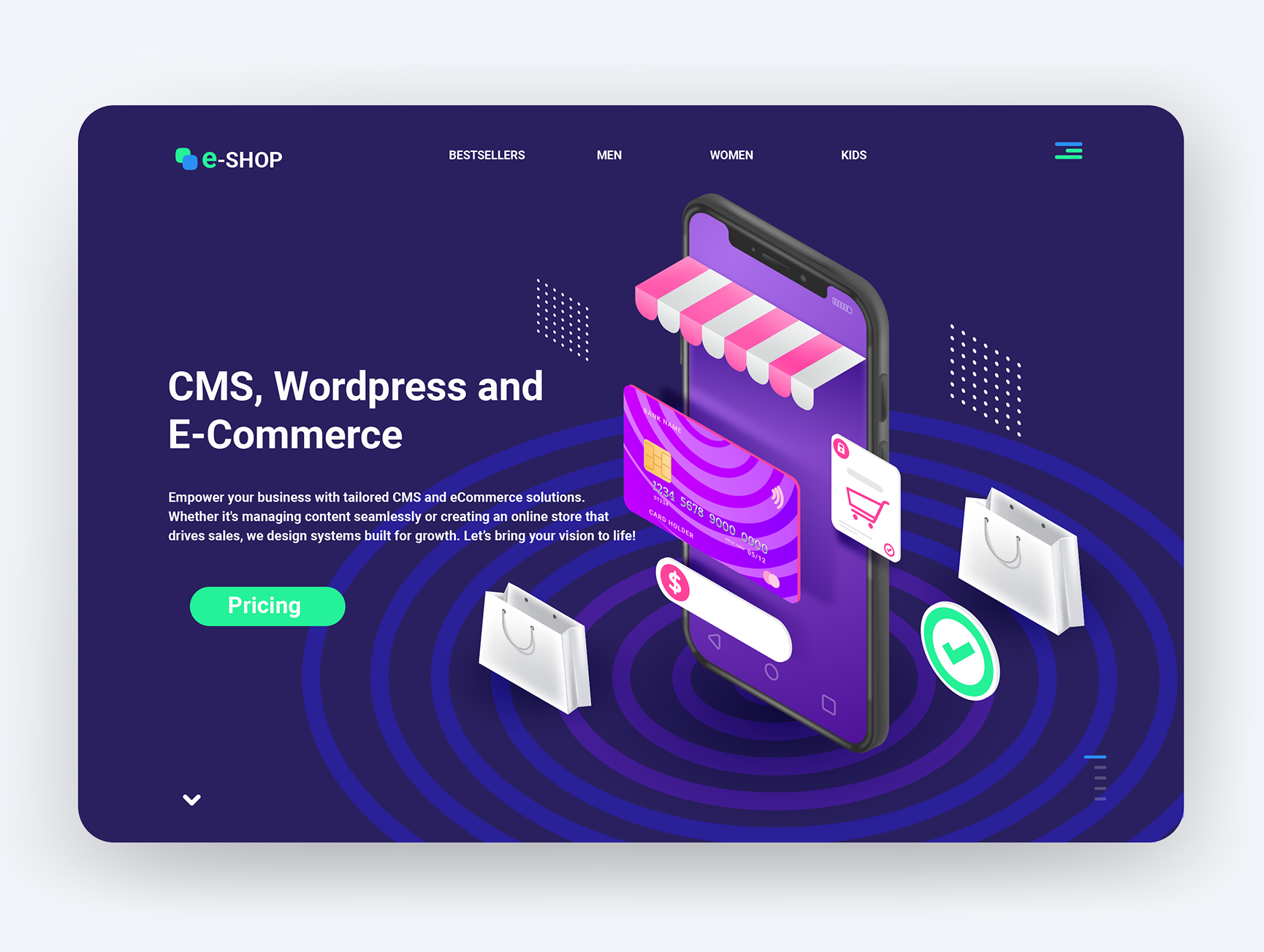 Best CMS and Ecommerce Company