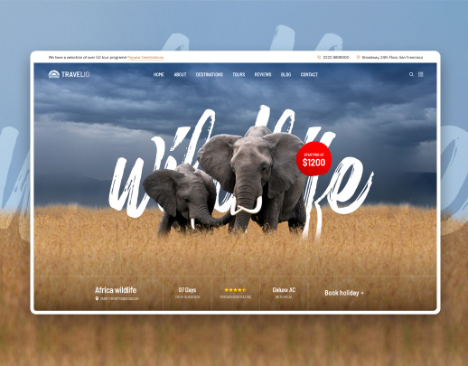 Traveling and nature Web Design 